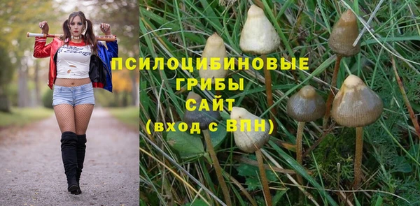 ALPHA PVP Дмитров