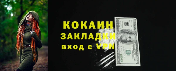 ешки Дмитриев