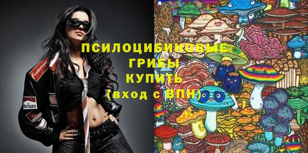 ешки Дмитриев