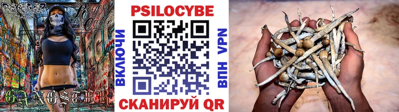 где продают   omg tor  Псилоцибиновые грибы прущие грибы  Йошкар-Ола 