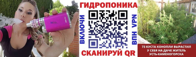 Канабис Bruce Banner  OMG tor  площадка телеграм  дарнет шоп  Йошкар-Ола 