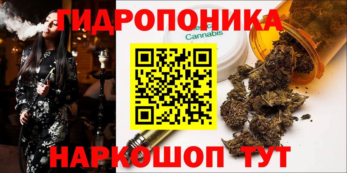 Меф Йошкар-Ола